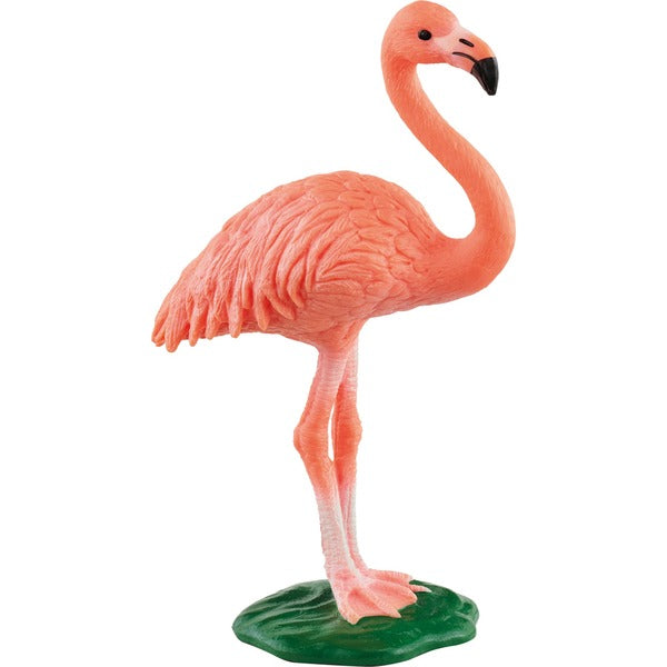 Wild Life Flamingo