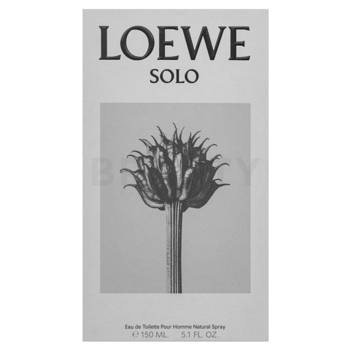 Loewe Solo Loewe Pour Homme EDT M 150 ml