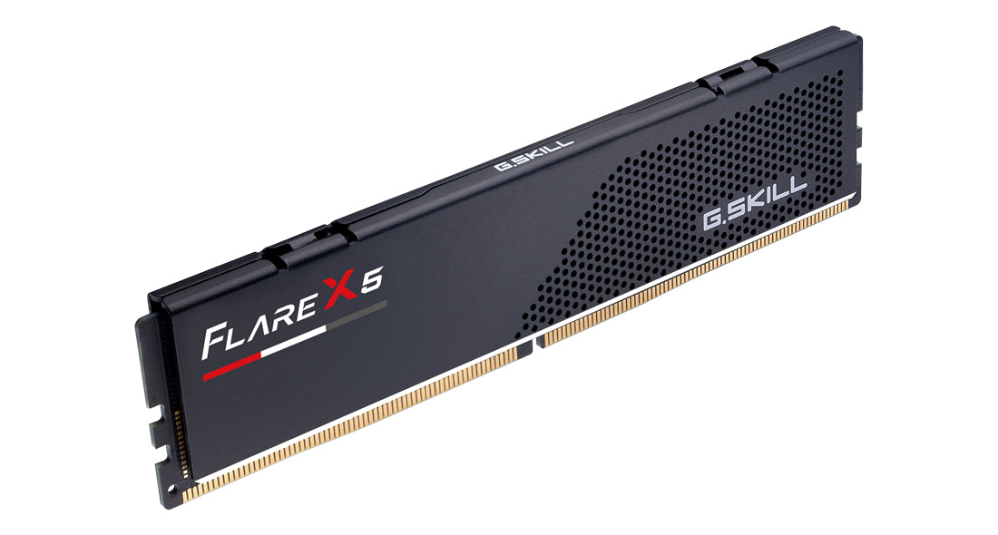 G.Skill Flare X5 F5-6000J3038F8GH1-FX5 8GB DDR5 6000 MT/s 288-pin DIMM Memory Module, Single 8GB Stick