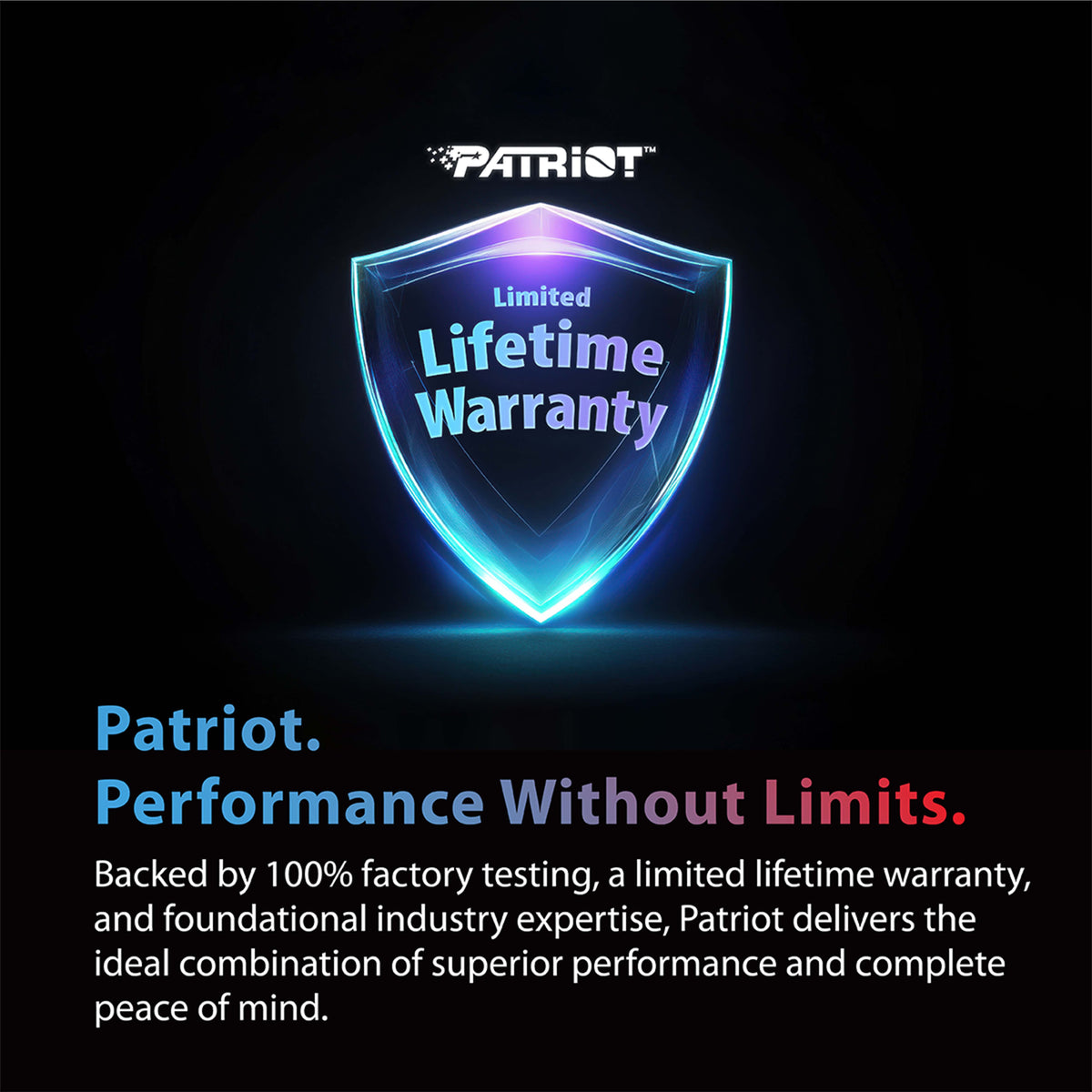 Patriot Memory Viper Venom Non-RGB DDR5 AMD Series 32 GB (2 x 16 GB) 6000 MT/s 288-pin DIMM