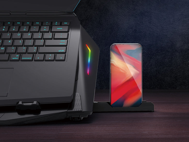 CONCEPTRONIC 2-Fan USB-A2.0 Laptop-Kühlpad 40Kg RGB 17" sw