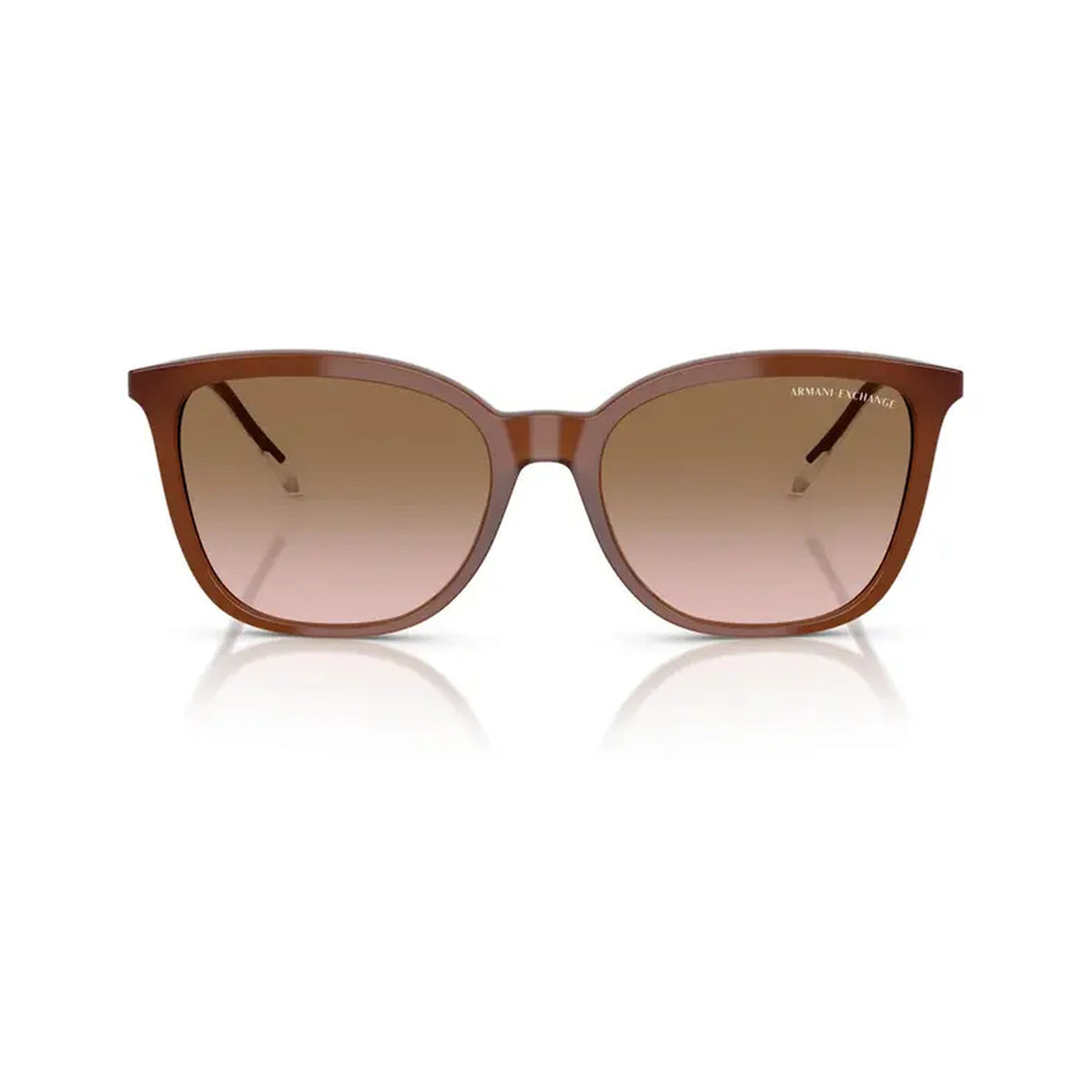 Sunglasses Armani Exchange Women AX4151S836511 (Lens/Bridge/Temple) 55/17/140 mm