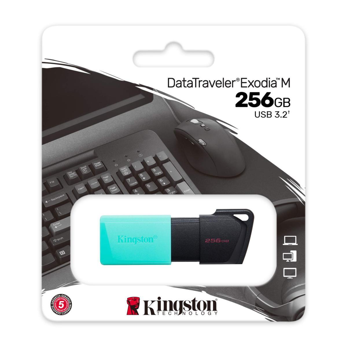 Kingston Pendrive USB-A 3.2 256GB DTXM/256GB Μαύρος/Μπλε