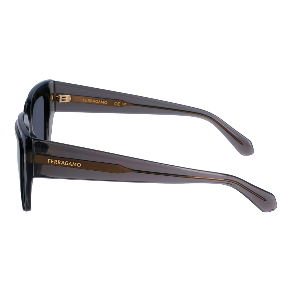 Sunglasses Ferragamo Women SF2002S-24 (Lens/Bridge/Temple) 55/18/140 mm