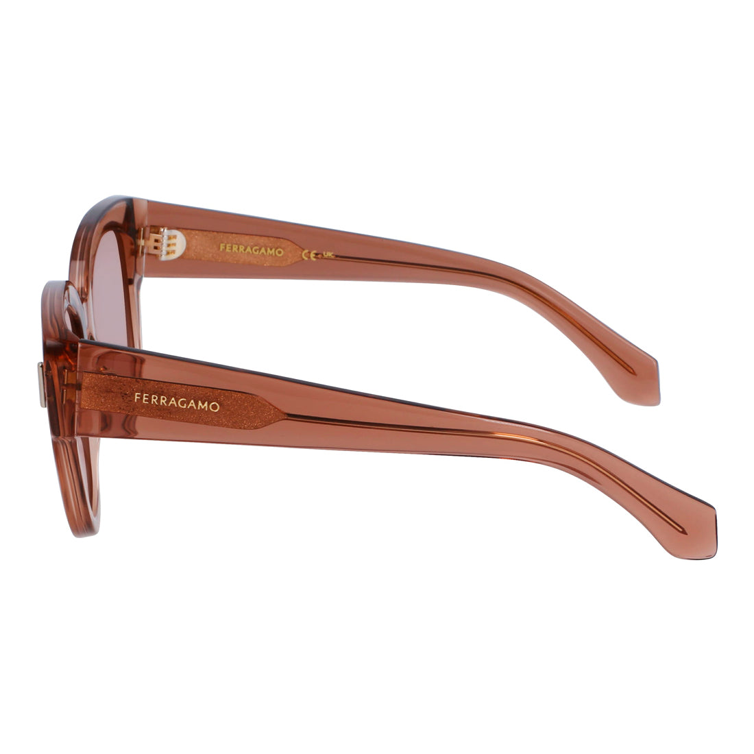 Sunglasses Ferragamo Women SF2007S512026 (Lens/Bridge/Temple) 51/20/140 mm