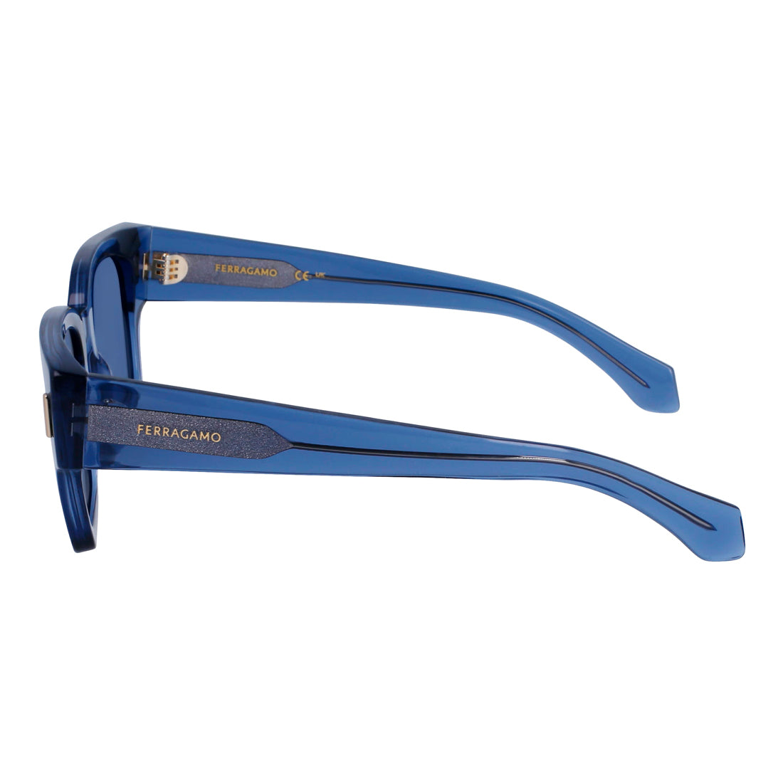 Sunglasses Ferragamo Man SF2010S522143 (Lens/Bridge/Temple) 52/21/145 mm