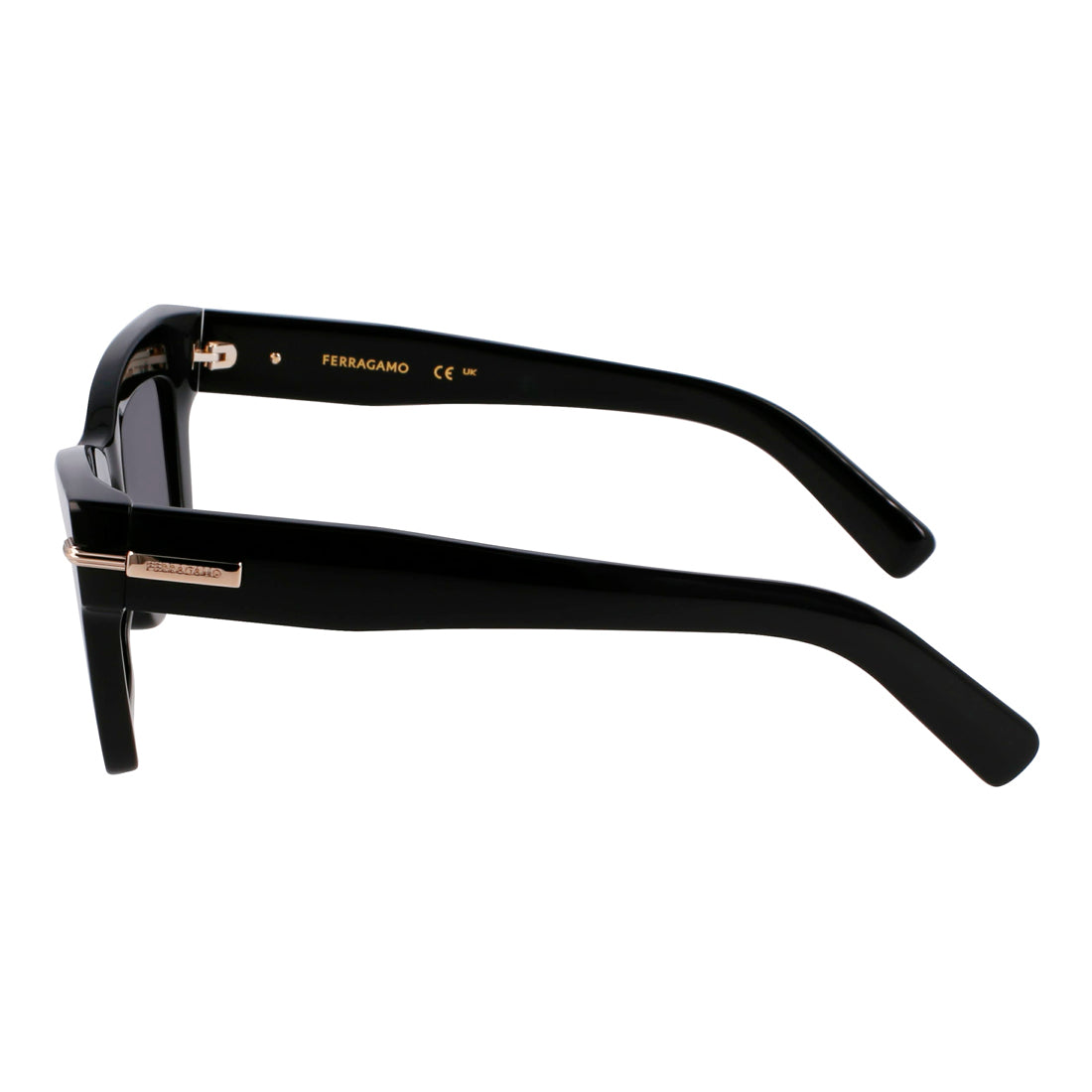 Sunglasses Ferragamo Women SF2031S-1 (Lens/Bridge/Temple) 52/17/145 mm