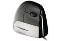 Evoluent Maus VerticalMouse Rechts USB retail