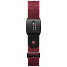 Polar Verity Sense OHR L-XXL Pulssensor Schwarz (28-44cm)