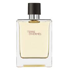 Hermès Terre D'Hermes EDT M 100 ml Tester