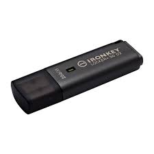 Kingston IronKey Locker+ 50 G2 256 GB (anthrazit, USB-A 3.2 Gen 1)
