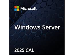 Microsoft Windows Server CAL 2025 Client Access License (CAL) 1 license(s)