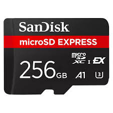 Nintendo SanDisk microSD EXPRESS Card 256 GB