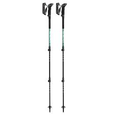 Trekking poles LEKI MAKALU FX TA, 110–130 cm, Black