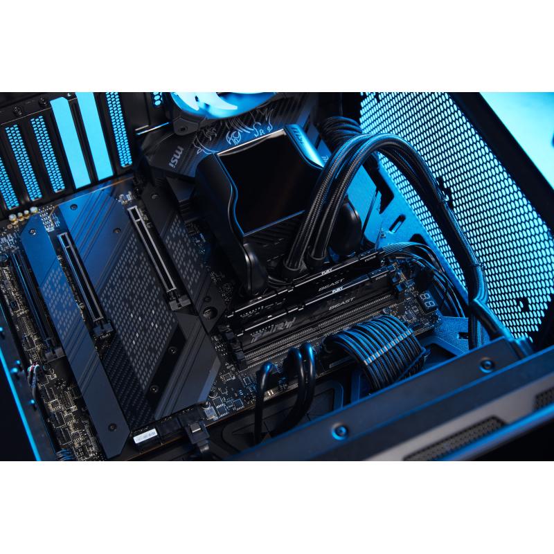 Kingston Fury Beast DDR5 16GB (2x8GB) 5600MHz (KF556C36BBEK2-16) (KF556C36BBEK216)