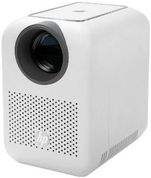 HP CC180W Set with Canvas