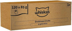 WHISKAS Feast in Jelly Poultry – wet cat food – 120x85g