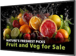 PHILIPS D-Line 43BDL5050D 109.2 cm (43") 24/7 UHD Android 14