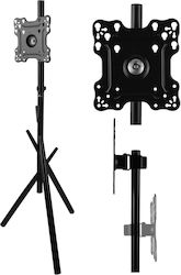 Maclean TV Floor Stand/Mount, 27–55", max. VESA 200x200, max. 60 kg, MC-181 B