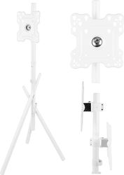 Maclean TV Floor Stand/Mount, 27–55", max. VESA 200x200, max. 60 kg, MC-181 W