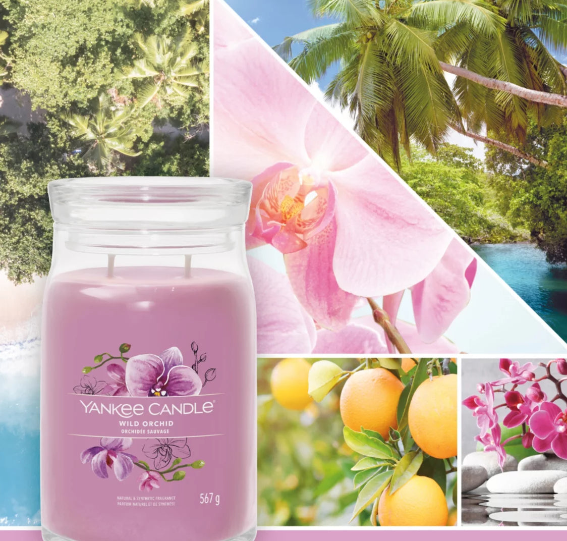 Large WILD ORCHID Yankee Candle