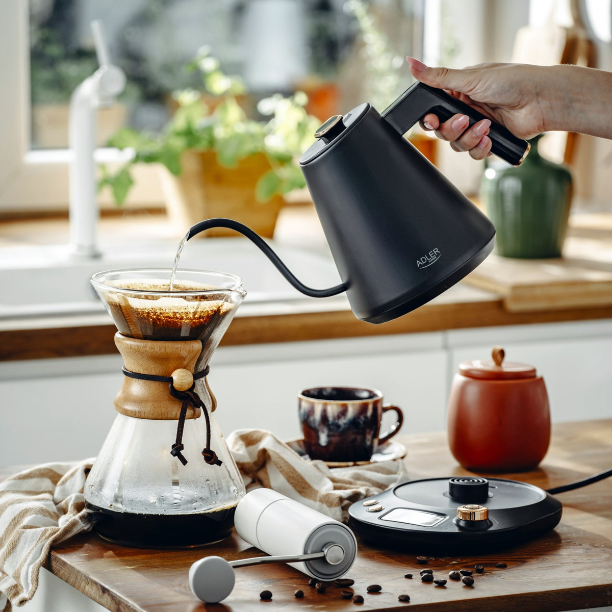 Adler AD 1349 Electric kettle with long spout 1.0L Black