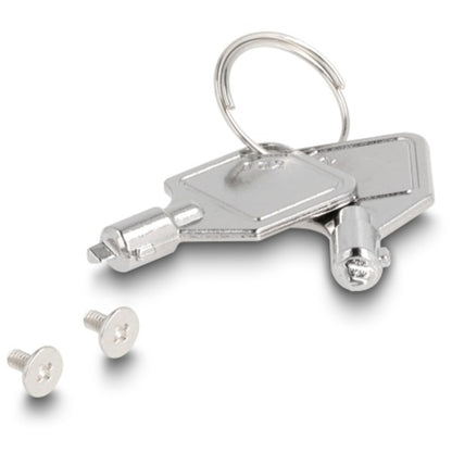 DeLOCK Wechselrahmen Einschub 1 x M.2 NMVe SSD für 47028