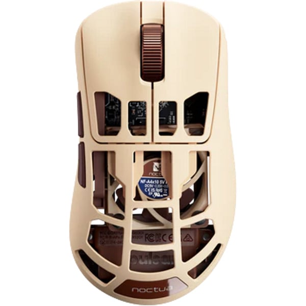 Noctua Feinmann F01 Noctua Edition (beige/braun)