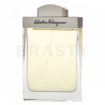Salvatore Ferragamo Pour Homme EDT M 100 ml