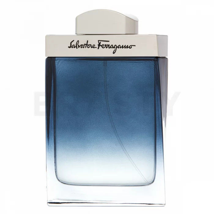 Salvatore Ferragamo Subtil Pour Homme EDT M 100 ml