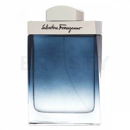 Salvatore Ferragamo Subtil Pour Homme EDT M 100 ml