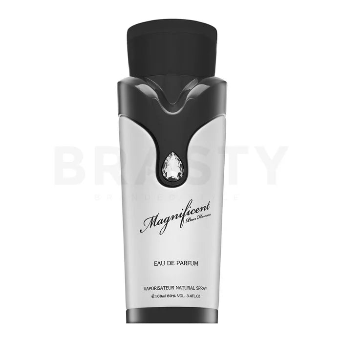 Armaf Magnificent Pour Homme EDP M 100 ml