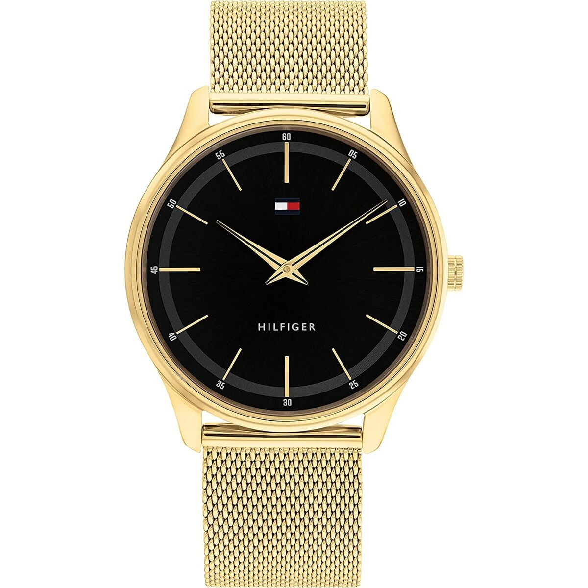 Watch Tommy Hilfiger Man 1710469 (40MM) Golden
