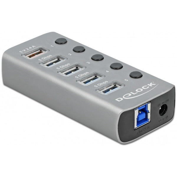 DeLOCK USB 3.2 Gen 1 Hub with 4 Ports + 1 Fast Charging Port (Gray, with Switch and Lighting)