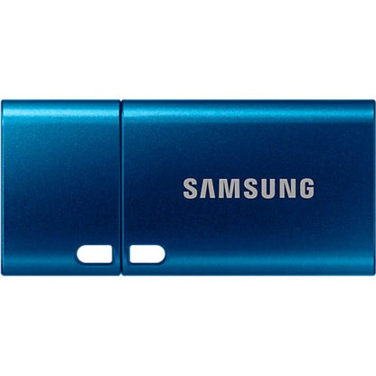 Samsung Type-C 256 GB (blau, USB-C 3.2 Gen 1)