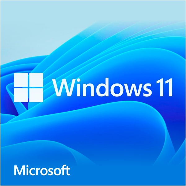 Microsoft Windows 11 Home 64-Bit USB Stick (Deutsch)