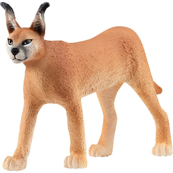 Schleich Wild Life Καρακάλ Θηλυκό