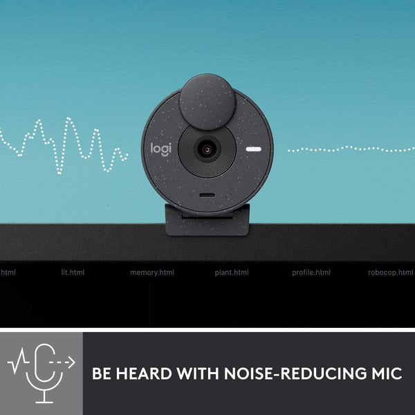 Logitech Brio 300 (schwarz, Graphite)