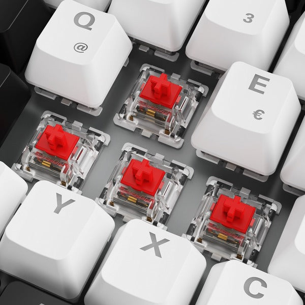 Sharkoon SKILLER SGK50 S3 (weiß, DE-Layout, Gateron Red)