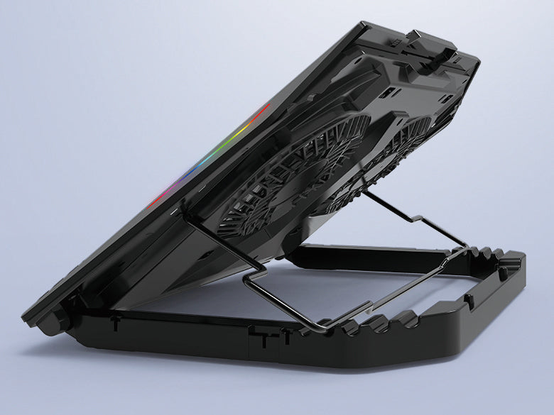 CONCEPTRONIC 2-Fan USB-A2.0 Laptop-Kühlpad 40Kg RGB   17" sw