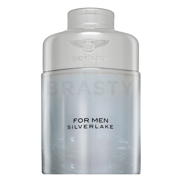 Bentley Silverlake EDP M 100 ml
