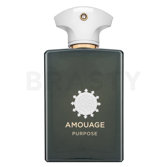 Amouage Purpose EDP U 100 ml