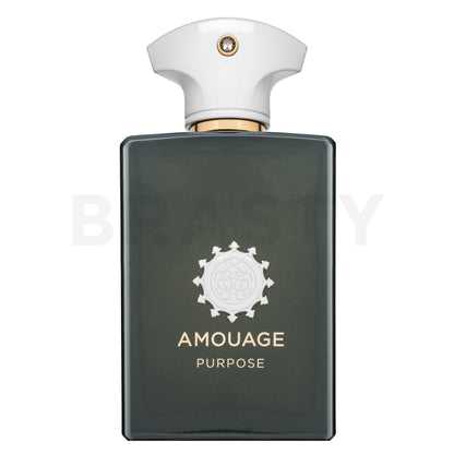 Amouage Purpose EDP U 100 ml