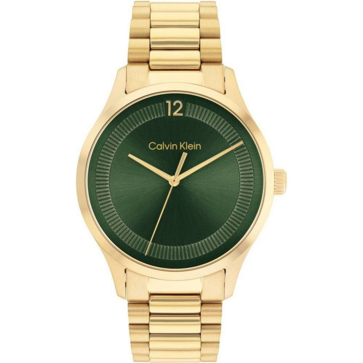 Watch Calvin Klein Man 25200229 (40MM) Golden