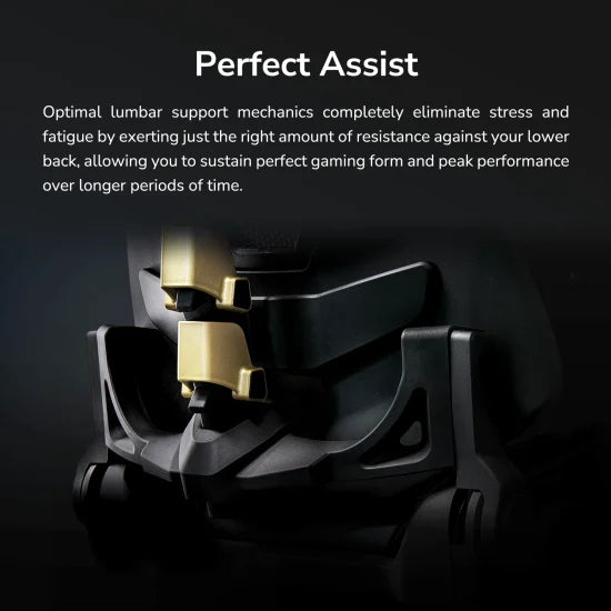 COUGAR Gaming Chair Terminator Elite Gold, Black