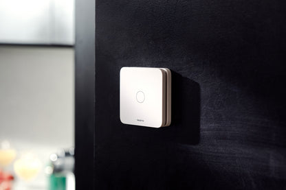 Carbon Monoxide Alarm NETATMO NCO