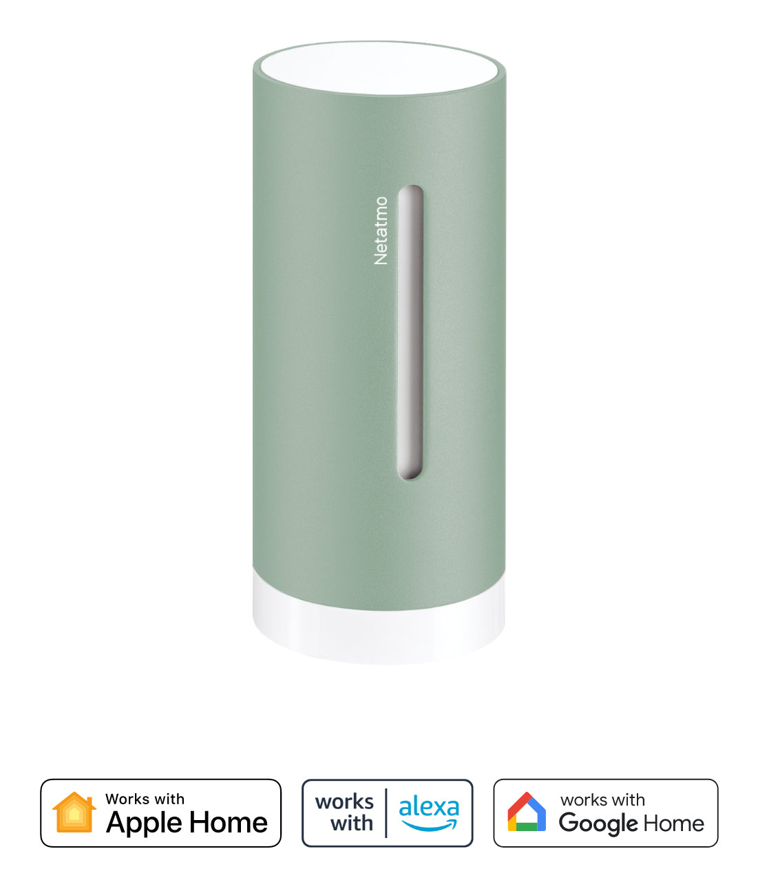 Indoor Module Original NETATMO NIM-M Mint