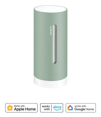 Indoor Module Original NETATMO NIM-M Mint