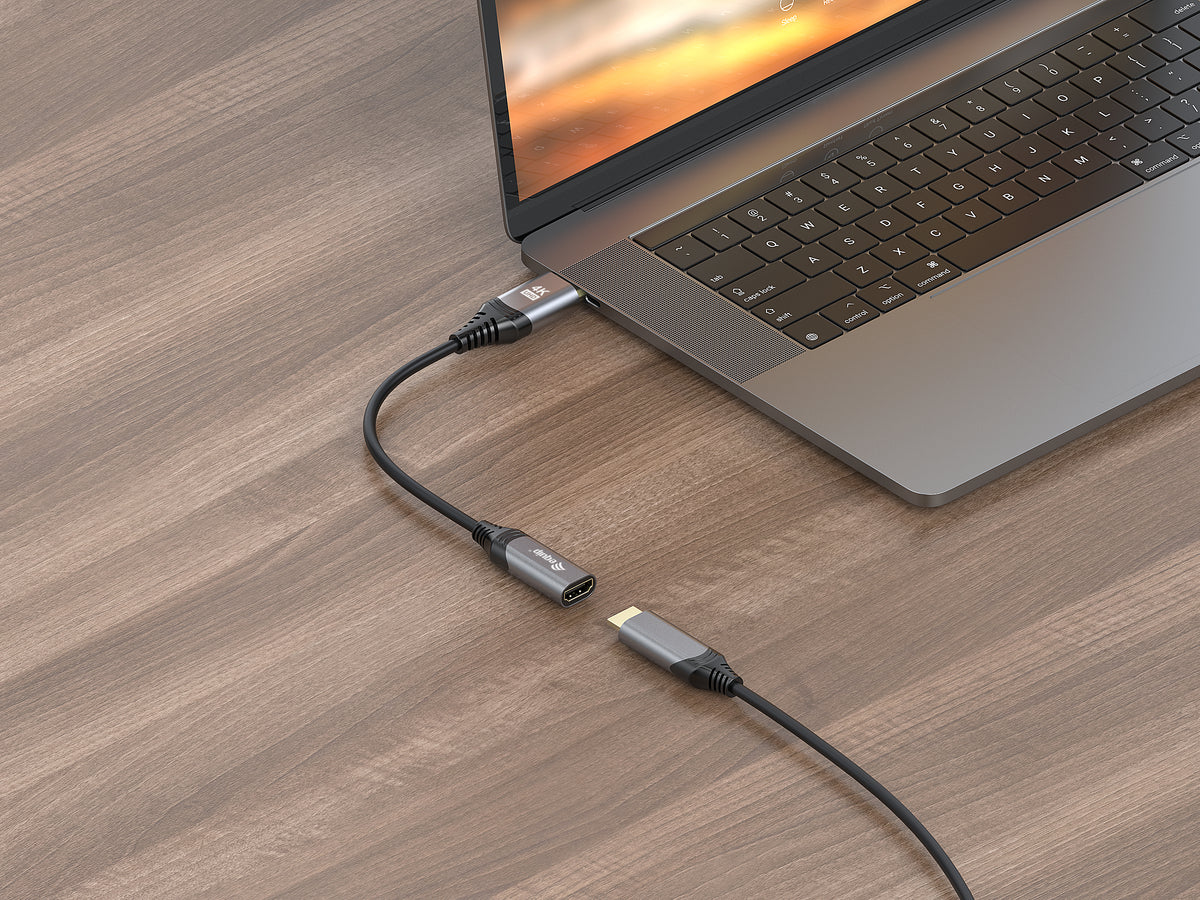 Equip  1.2 DisplayPort->HDMI        4K/ 60Hz St/Bu  0.15m gr
