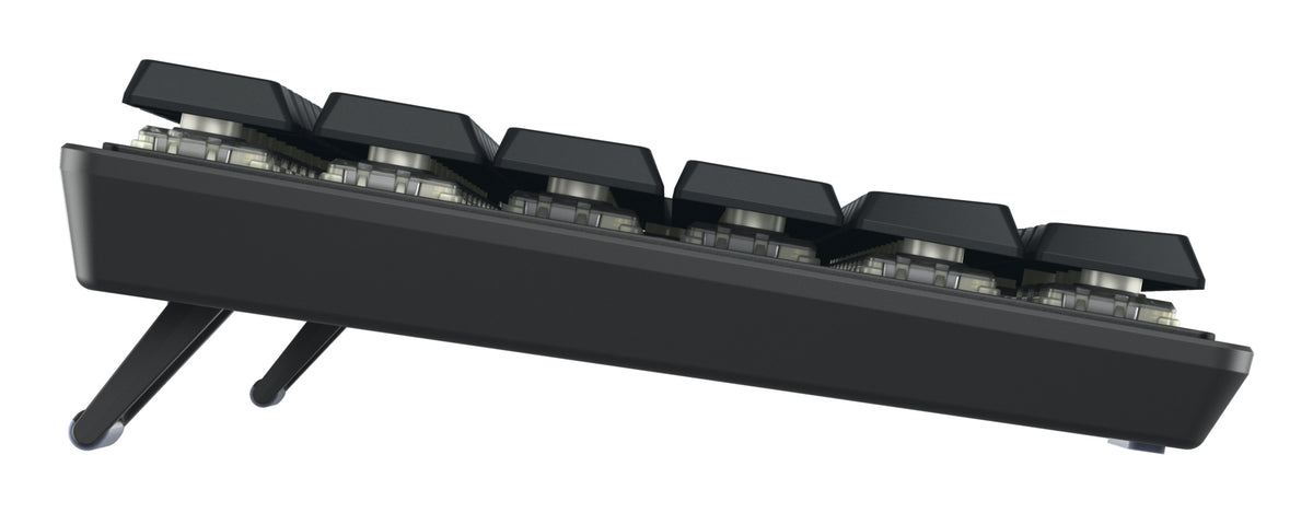 CHERRY TAS KW 550 MX LP TKL Layout DE Schwarz